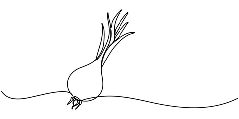 Aufkleber - Two bulbs of onions. Harvest. Continuous line drawing. Vector illustration, Continuous one line drawing of onion for grocery store. One line drawing illustration of red onion vegetable. Raw vegetable.