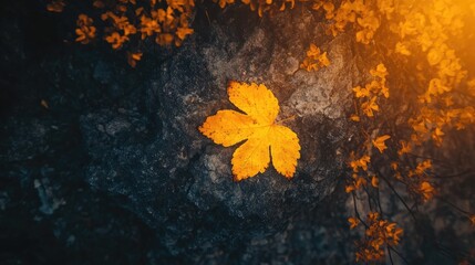 Poster - Vibrant yellow autumn leaf resting on dark stone with soft light and shadows showcasing nature conservation and artistic beauty in forest.