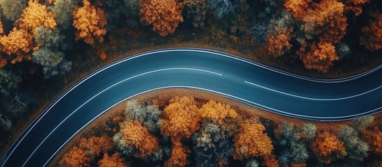 Poster - winding asphalt road surrounded by vibrant autumn foliage offering a serene nature landscape with sp