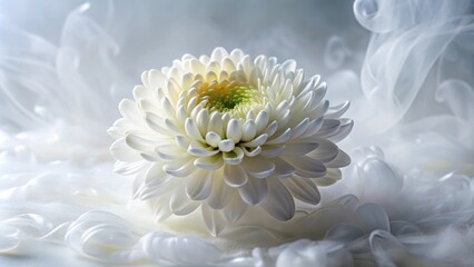 Aufkleber - A single white chrysanthemum with delicate petals sits atop a bed of soft, flowing white fabric, creating a serene and ethereal scene.