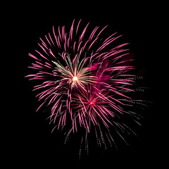 Colorful celebration fireworks isolated on black sky background.