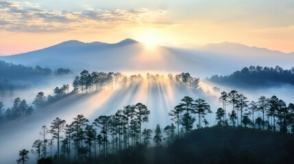 Poster - sunbeams breaking through a dense fog, creating a mystical atmosphere as they illuminate the tops of