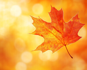 Poster - Vibrant Autumn Maple Leaf with Golden Bokeh Background