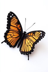Poster - A close-up shot of a colorful butterfly on a plain white background