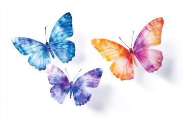 Poster - Three colorful butterflies on a white surface