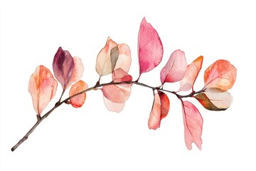 A beautiful watercolor illustration of a branch with lush green leaves