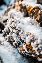 Sticker - A close-up view of a pile of snow-covered rocks, great for winter or nature-themed projects