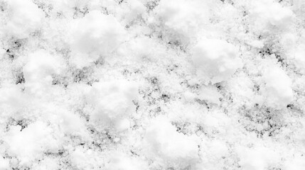 Poster - A black and white photo of a snow-covered ground with minimal features, ideal for backgrounds or abstract designs