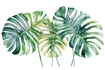Poster - Three colorful tropical leaves with intricate details