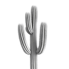 Wall Mural - Monochromatic Majesty: A Striking White Cactus