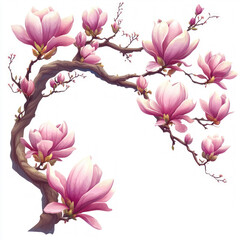 Canvas Print - Magnolia Blossom Isolated