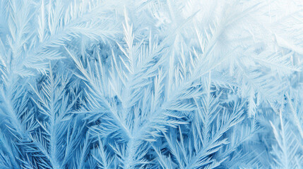 Wall Mural - frost texture