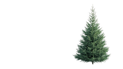 Aufkleber - photorealistic 3d rendered fir tree, transparent background, suitable for architectural rendering an