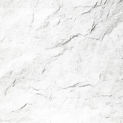 Poster - Close-up of a textured white stone surface featuring subtle natural patterns.