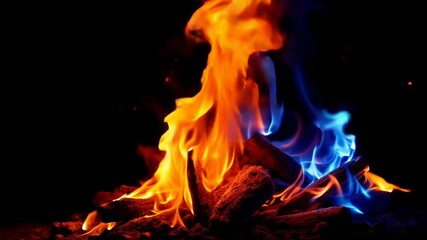 Wall Mural - mesmerizing orange and blue fire dance on black background. contrasting hot and cold flames in motio