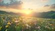 © Tamas - Vibrant Sunrise Over Wildflowers