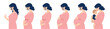 © Olena - Set of women, path from pregnancy test through different stages to motherhood. Mom with baby. Vector isolated flat illustration of people