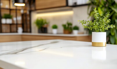 Poster - A modern kitchen scene featuring a decorative plant on a marble countertop.