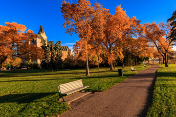Wall Mural - a park with a bench and a path