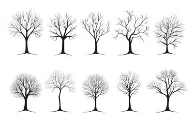 Collection of twelve bare, leafless trees in winter.