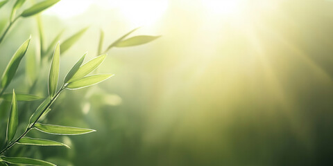 Aufkleber - Fresh green leaves glowing in morning sunlight with copy space