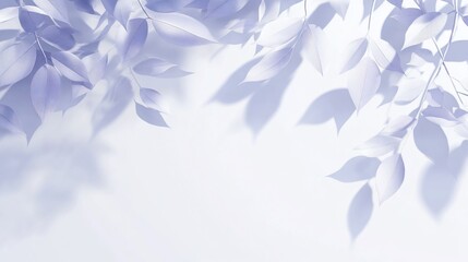 Aufkleber - Lavender leaves and shadows on white background.
