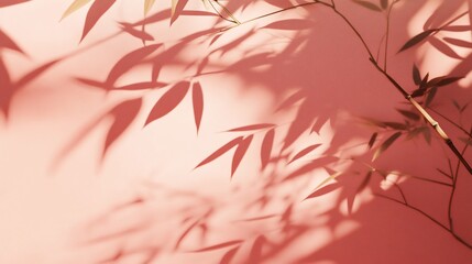 Aufkleber - Bamboo branch and shadow cast on coral background.