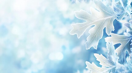 Poster - Frosty winter leaves, delicate icy texture, bokeh background.