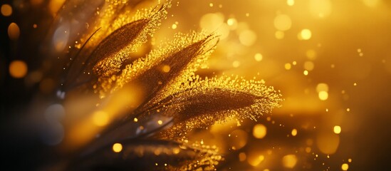 Poster - Golden autumn pampas grass with bokeh lights.