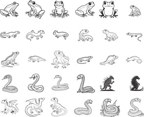 Naklejka na meble Amphibians are those animals on white backgroun