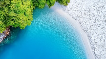 Aerial View  Turquoise Water Meets White Sandy Beach  Lush Green Foliage