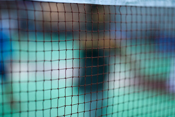 Badminton Net Focus