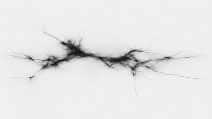 Poster - Abstract Black Network, Intricate Branching Design