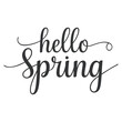 © Nabo  - Hello Spring Lettering  art vector design with white background