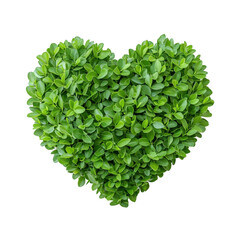 Wall Mural - Heart Shaped Green Bush Made of Small Leaves