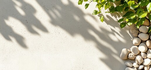 Poster - A serene composition of pebbles and greenery casting soft shadows.