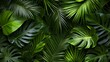 © Jojo* - Lush Tropical Foliage Background Of Green Leaves