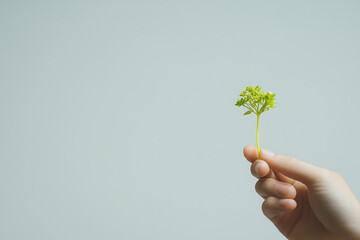 Wall Mural - Tiny Plant Held in Hand - A Symbol of Growth