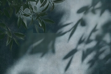 Wall Mural - abstract tree leaves shadows on gray green concrete wall texture with roughness and irregularities. 