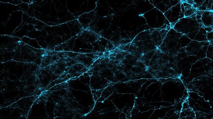 Poster - Microscopic Neural Network Visualization Complex Brain Structure