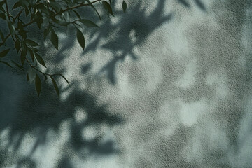 Wall Mural - abstract tree leaves shadows on gray green concrete wall texture with roughness and irregularities. 