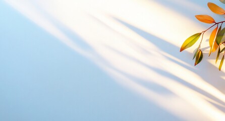 Poster - A serene composition featuring soft shadows and a plant branch.