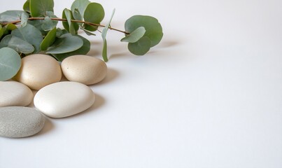 Poster - A serene arrangement of smooth stones and eucalyptus leaves.