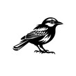 © StudioWorld - A striking black and white illustration of a bird, perfect for adding a touch of nature to your designs Vector. Detailed Sparrow Art in Silhouette Style.Bright and airy sparrow bird silhouette