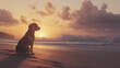 © THUA - dog sitting on sandy beach at sunset, watching waves gently roll in