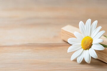 Poster - Minimalist Wooden Cross With a Single Daisy in Serene and Balanced Composition