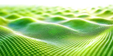 Poster - Green field with a pattern of lines