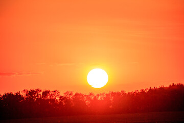 Wall Mural - the sun is setting in the sky, casting a warm orange glow over the trees