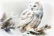 snowy owl.watercolor painting  