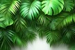 © Rekalawa - A vibrant arrangement of lush green leaves creating a tropical backdrop.